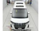 Toyota Alphard Hybrid AYH30W