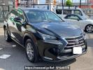 Lexus NX AYZ10