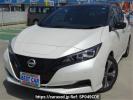 Nissan Leaf ZE1