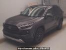 Toyota RAV4 AXAH54
