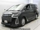 Toyota Alphard Hybrid AYH30W