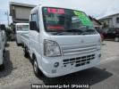 Mitsubishi Minicab Truck DS16T