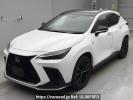 Lexus NX AAZH25