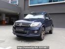 Volkswagen Tiguan others