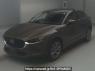 Used 2019 AT mazda cx-30 DMEP Image[0]