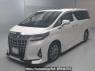 Used 2018 AT toyota alphard GGH30W Image[0]