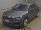 Audi SQ2 GADNUF