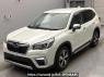 Used 2019 AT subaru forester SKE Image[0]