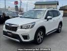 Subaru Forester SKE