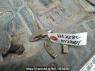 Used 1999 MT mitsubishi-fuso fighter-mignon FH228CD Image[24]