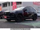 Toyota RAV4 AXAH54
