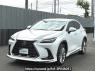 Used 2023 AT lexus nx AAZH25 Image[2]