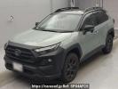 Toyota RAV4 AXAH54