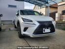 Lexus NX AYZ10
