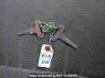 Used 1989 MT mitsubishi canter FE337B Image[22]