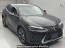 Used 2023 AT lexus ux MZAA10 Image[2]