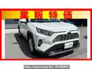 Toyota RAV4 MXAA54