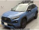 Toyota RAV4 AXAH54