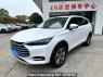 Used 2022 AT byd tang BYD6490ST6A Image[0]