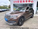 Skoda Kodiaq SVW6476CVD