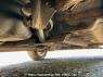 Used 2008 AT nissan x-trail NT31 Image[37]