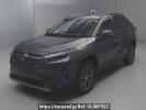 Toyota RAV4 AXAH54