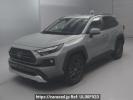 Toyota RAV4 AXAH54