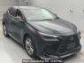 Used 2023 AT lexus nx AAZH25 Image[2]