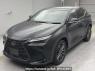 Used 2022 AT lexus nx AAZH20 Image[0]