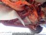 Used 1995 MT mitsubishi-fuso fighter FH218CD Image[44]