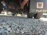 Used 1990 MT isuzu elf-truck NHR55E Image[29]