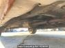 Used 2008 AT toyota alphard ANH10W Image[35]