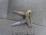 Used 1995 MT mitsubishi canter FE537B Image[43]