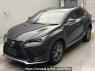 Used 2018 AT lexus nx AYZ15 Image[0]