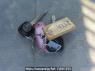 Used 2001 MT toyota dyna-truck XZU322D Image[34]