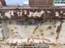 Used 2002 MT hino dutro XZU322T Image[11]