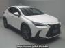 Used 2023 AT lexus nx AAZH25 Image[2]