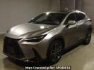 Lexus NX AAZH20