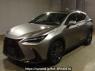 Used 2023 AT lexus nx AAZH20 Image[0]
