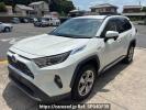 Toyota RAV4 AXAH54