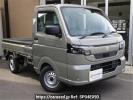 Suzuki Carry Truck DA16T
