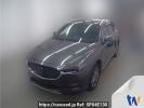 Mazda CX-8 KG2P