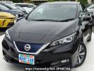 Nissan Leaf ZE1