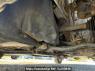 Used 2013 AT toyota succeed-van NCP55V Image[23]