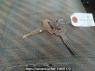 Used 1991 MT mitsubishi canter-guts FB308B Image[23]