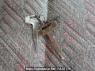 Used 1996 MT mitsubishi canter FE518BD Image[33]