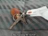 Used 1991 MT mitsubishi canter-guts FB308B Image[23]