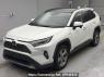 Used 2019 AT toyota rav4 AXAH54 Image[0]