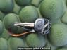 Used 1999 AT toyota regius-wagon RCH41W Image[31]