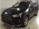 Toyota RAV4 AXAH54